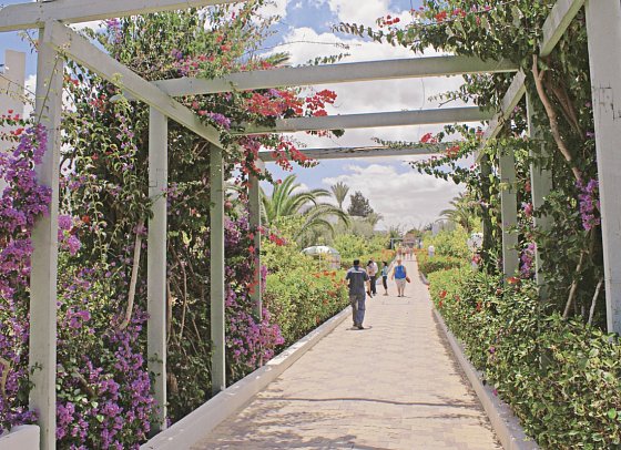 El Mouradi Club Selima