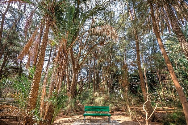 Marhaba Royal Salem