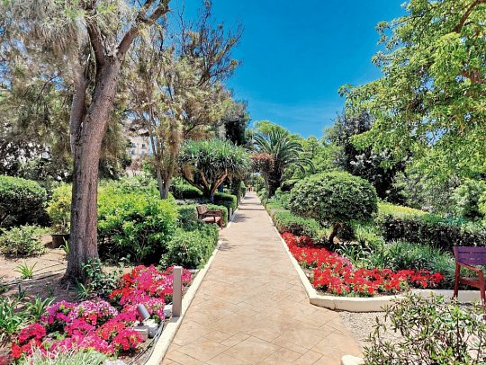Hotel Phoenicia