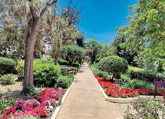 The Phoenicia Hotel