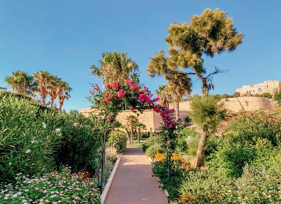 The Phoenicia Hotel