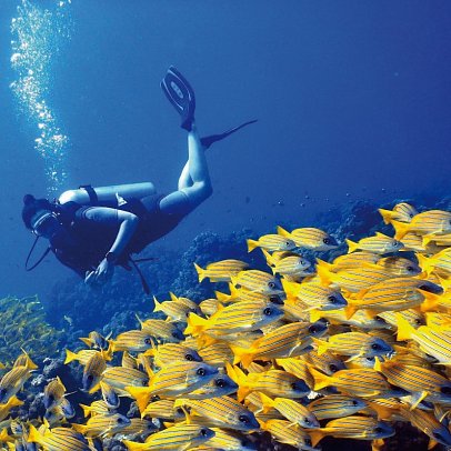 The Barefoot Eco Hotel