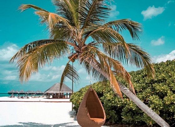Coco Palm Dhuni Kolhu