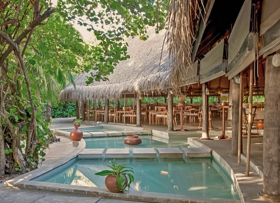 Coco Palm Dhuni Kolhu