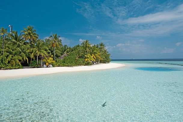 Safari Island Resort & Spa