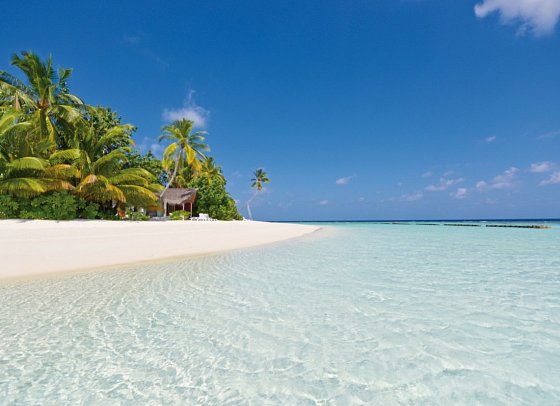 Safari Island Resort & Spa