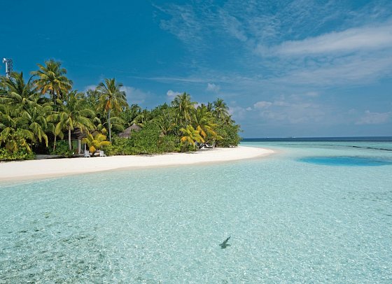 Safari Island Resort & Spa