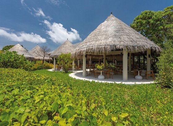 Cocoon Maldives