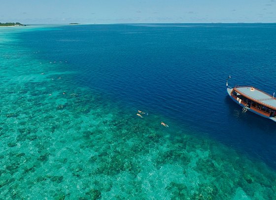 Cocoon Maldives