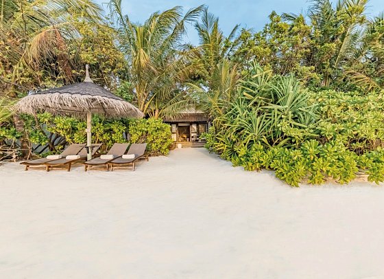 OZEN LIFE Maadhoo - Wohnbeispiel Earth Pool Pavilion (Zimmercodierung WB1)