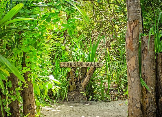 Niva Dhigali Maldives