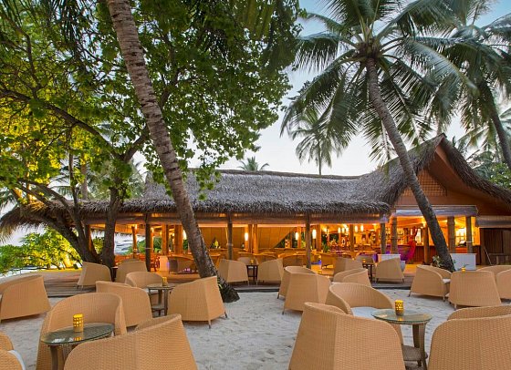 Niva Kuramathi Maldives