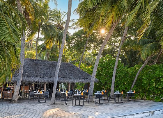 Niva Kuramathi Maldives