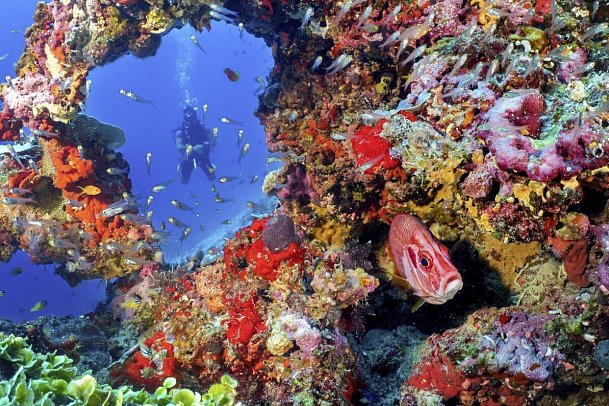 Eri Maldives
