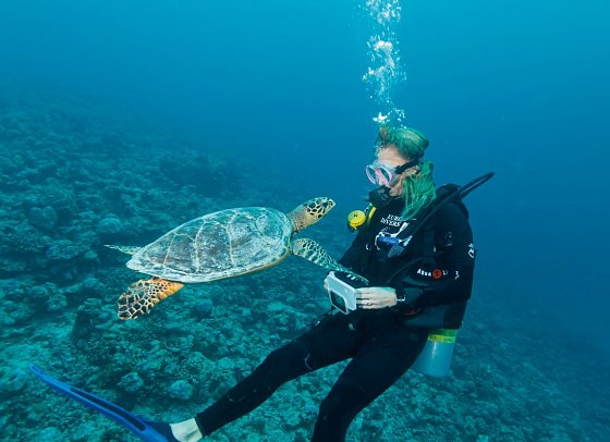 Eri Maldives