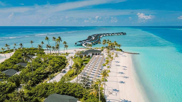 Joy Island