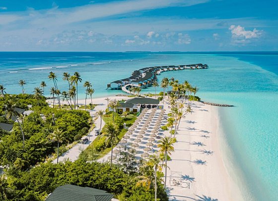 Joy Island