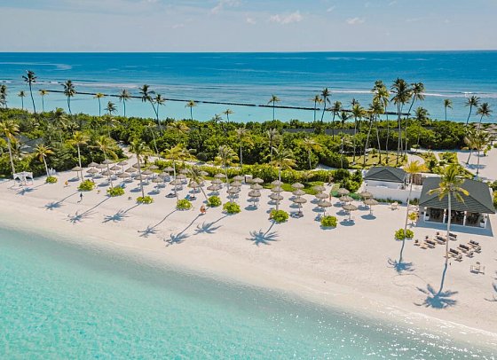 Joy Island