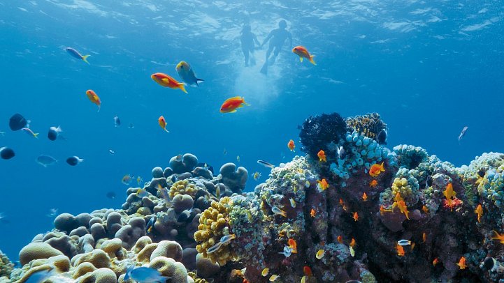 Jumeirah Olhahali Island Maldives