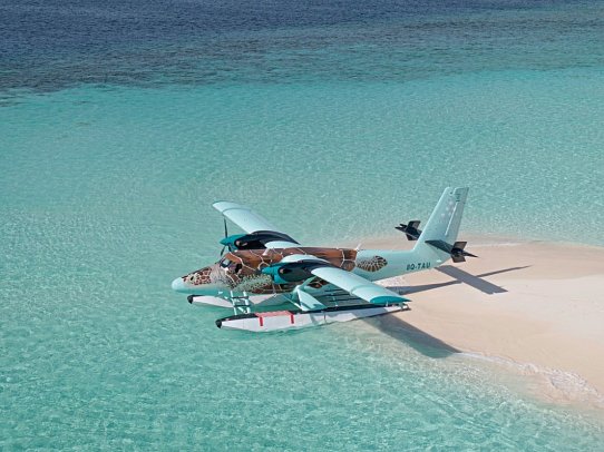 Six Senses Laamu - The Fly Turtle
