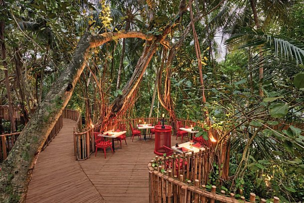 Niyama Private Islands Maldives