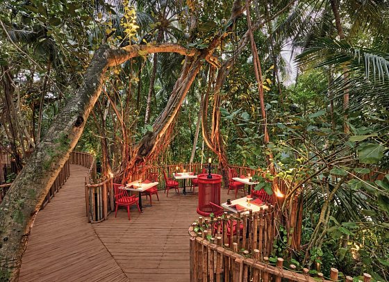 Niyama Private Islands Maldives