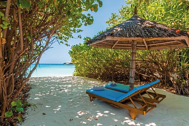 Reethi Faru Resort - Strandzugang Deluxe Beach Pool Villa (Zimmercodierungen VB2 & VB8)