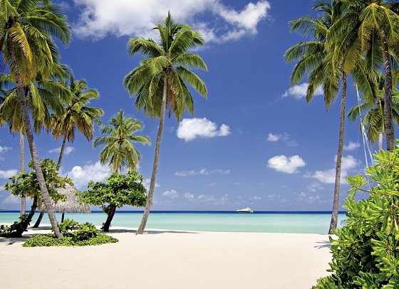 One&Only Reethi Rah