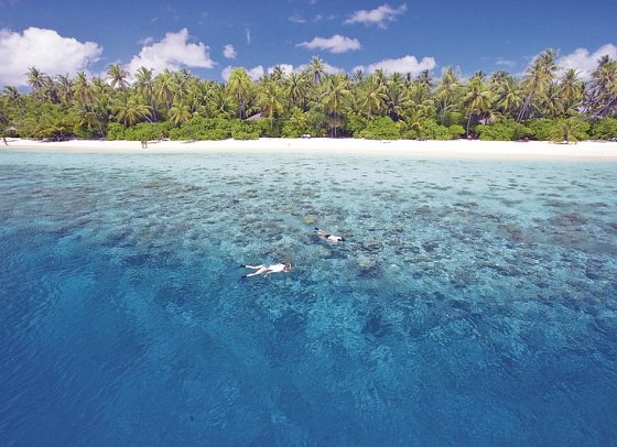 Filitheyo Island Resort