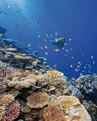 Park Hyatt Maldives Hadahaa