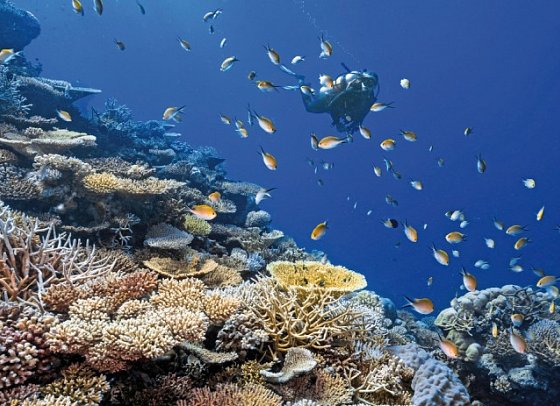 Park Hyatt Maldives Hadahaa