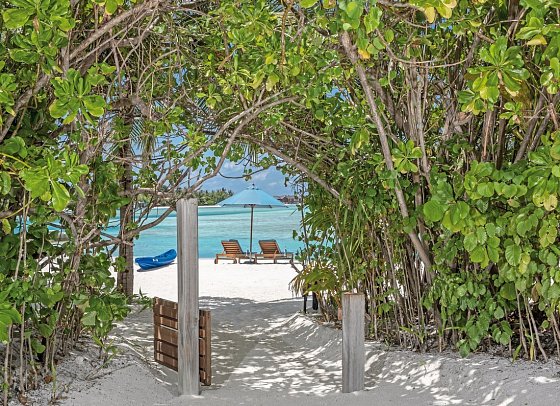 Naladhu Private Island Maldives - Beach House mit Pool (Zimmercodierung VB1)