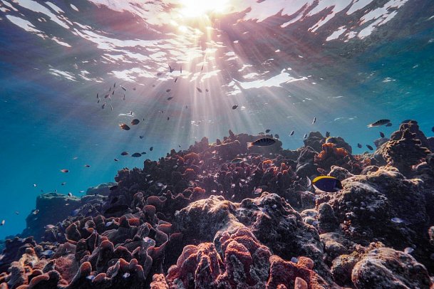 The Ritz-Carlton Maldives, Fari Islands