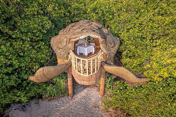 JOALI BEING - Turtle Treehouse