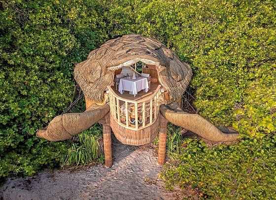 JOALI BEING - Turtle Treehouse