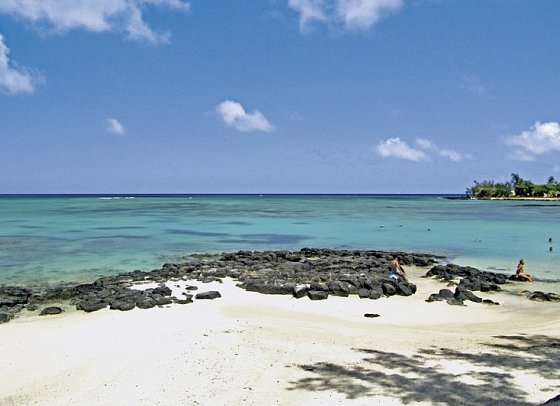 Ocean Beauty
