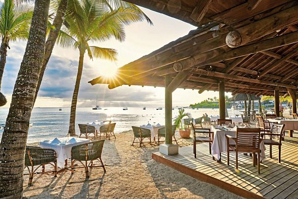 The Ravenala Attitude