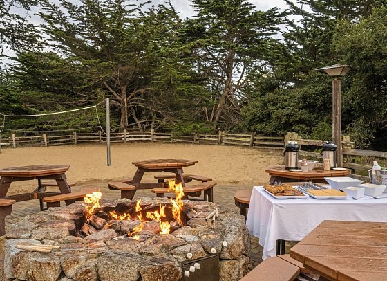 Asilomar State Beach & Conference Grounds
