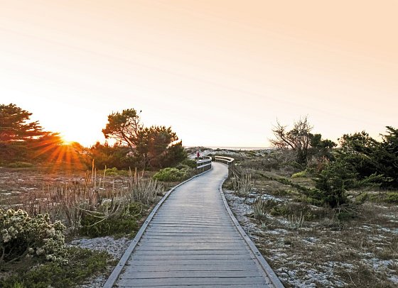 Asilomar State Beach & Conference Grounds