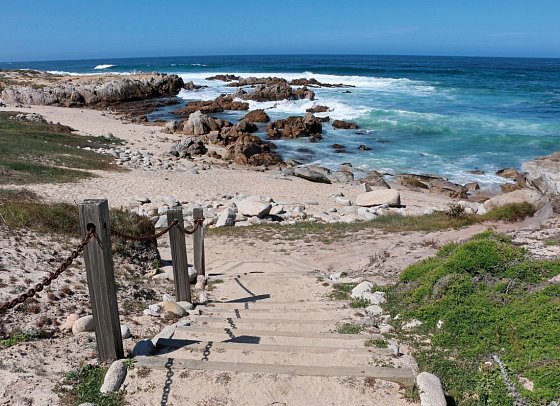 Asilomar State Beach & Conference Grounds