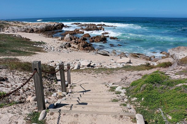Asilomar State Beach & Conference Grounds
