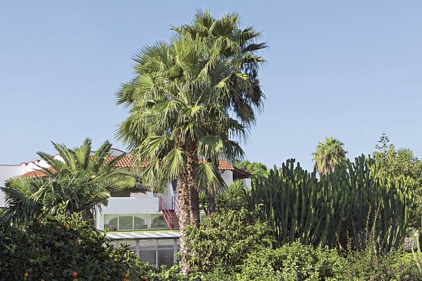 Park Hotel Terme Mediterraneo