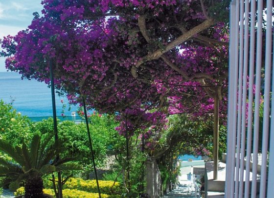 Casa Rosa Terme
