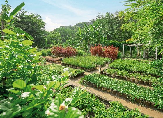 An Lam Retreats Ninh Van Bay