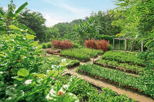 An Lam Retreats Ninh Van Bay