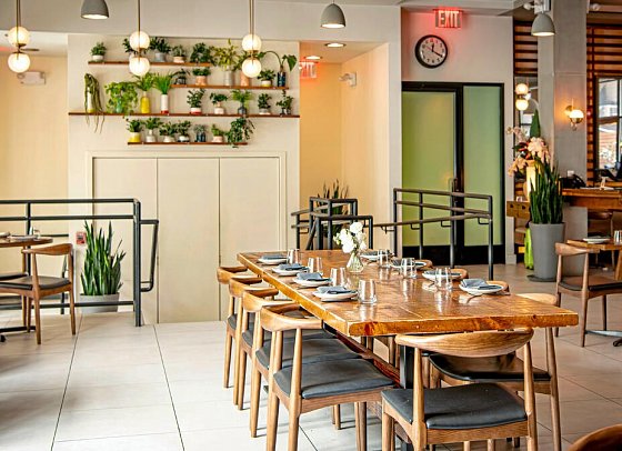 Arlo SoHo
