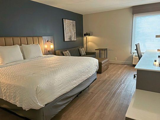 Best Western Plus Meadowlands Secaucus - Wohnbeispiel Standard, 1 King Sofabed (Zimmercodierungen UG1 & UG2)