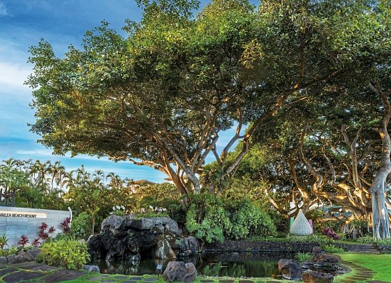 Wailea Beach Resort Marriott Maui
