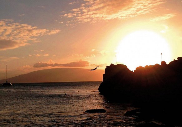 Sheraton Maui Resort & Spa