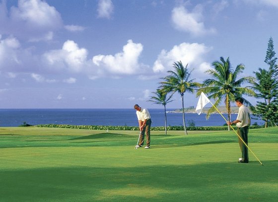 The Ritz-Carlton Maui, Kapalua